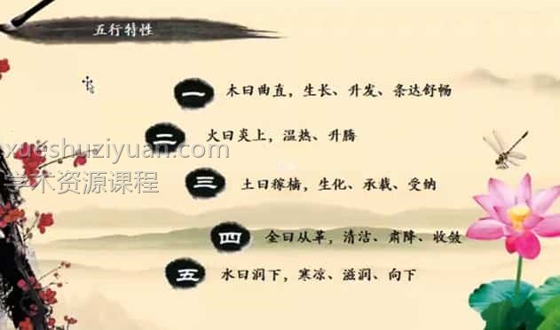 陶敏浩 全息六爻预测古法今用从零开始学习预测占卜视频5集合插图