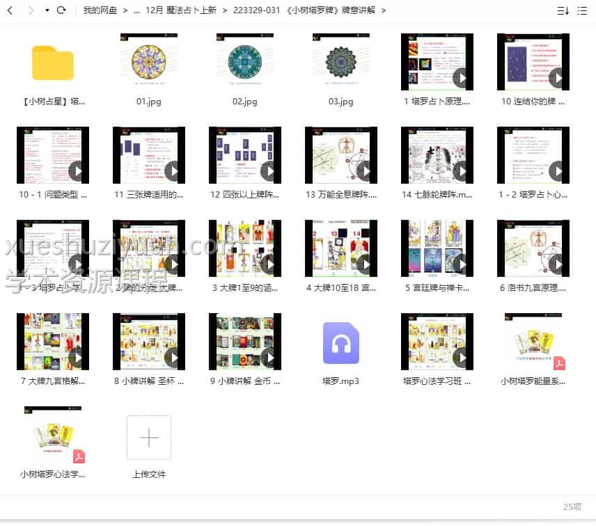 《小树塔罗牌》牌意讲解视频+文档+录音插图