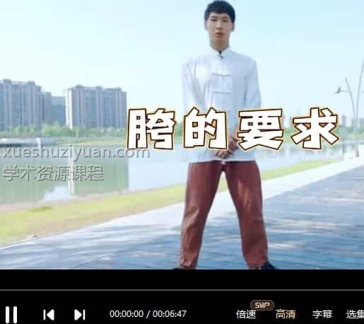 三十三功夫讲堂 无极桩视频教学视频+录音10集插图 三十三功夫讲堂 无极桩视频教学视频+录音10集插图